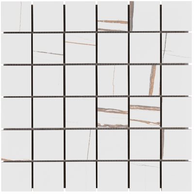 Marmo Sahara Blanco 2x2 Matte