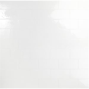 Scatoloni Bianco 5x10