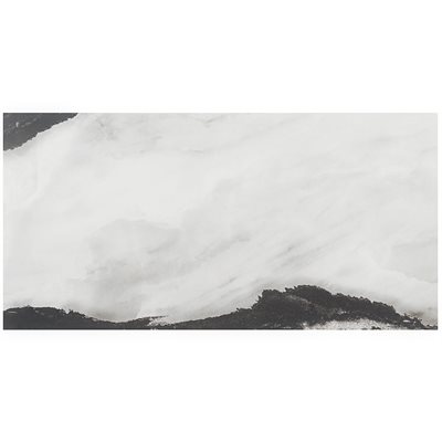 Close Out - Lithe Panda White 12x24 Polished