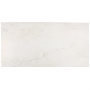 Close Out - Everyday Marble Arabescato Satin 24x48