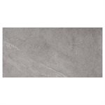 Motley Slate Gray 24x48 Matte