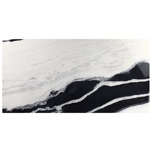 Black + White Wave 24x48 Polished