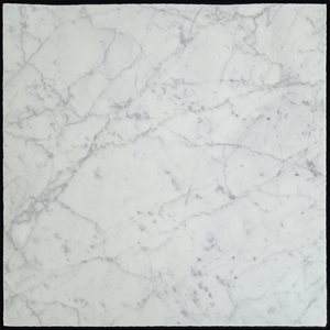 Close Out - Castlerock White Carrara 18x18 Roman Finish