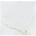 Versilia Calacatta 24x24 Matte